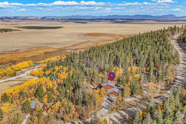 1666 High Creek Rd, Fairplay, CO 80440 - bird's eye view of mountains