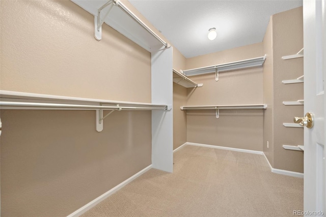 8985 Edgewood Ln, Highlands Ranch, CO 80130 - spacious closet featuring carpet floors