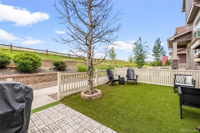 3502 Nez Perce Trl, Castle Rock, CO 80109 - photo 7