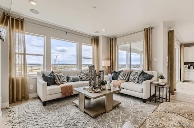 3343 N Catawba Way, Aurora, CO 80019 - living room with baseboards, a healthy amount of sunlight, and recessed lighting