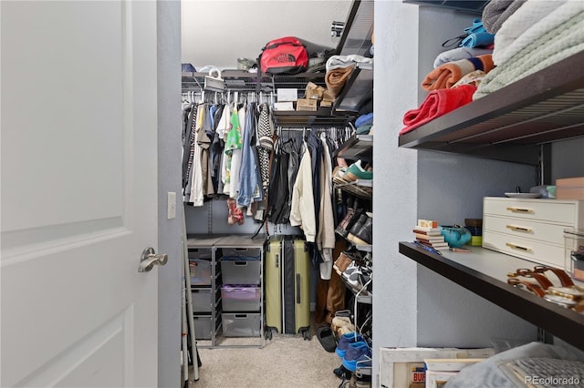1150 Vine St Unit 306, Denver, CO 80206 - spacious closet with carpet flooring