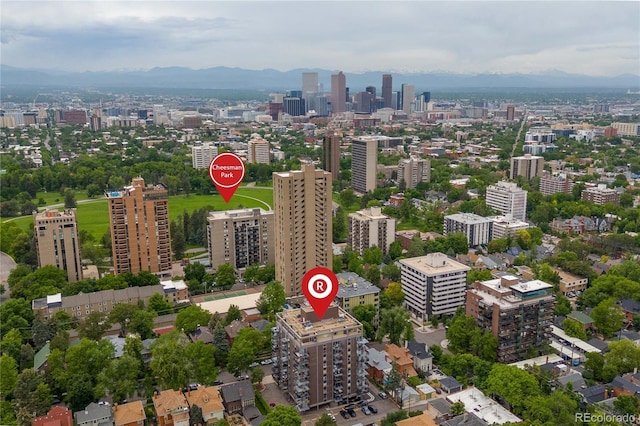 1150 Vine St Unit 306, Denver, CO 80206 - view of urban area with mountains