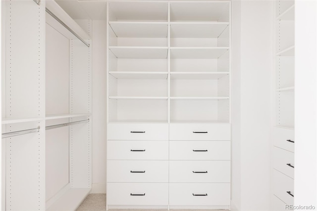 3130 Wyandot St, Denver, CO 80211 - view of walk in closet
