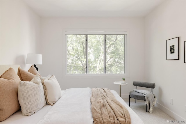 3130 Wyandot St, Denver, CO 80211 - carpeted bedroom featuring multiple windows and baseboards