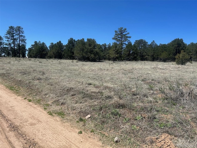 35th Trl, Cotopaxi, CO 81223