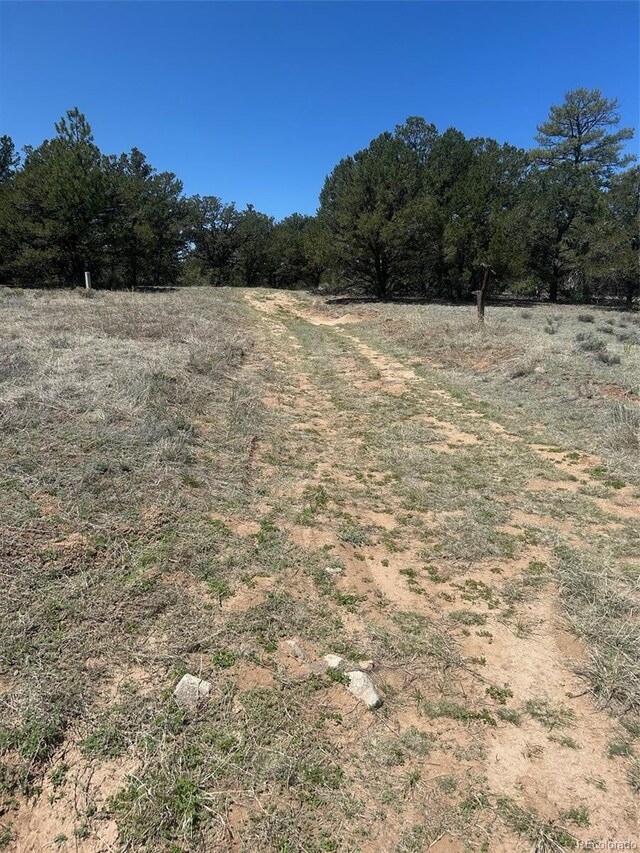 35th Trl, Cotopaxi, CO 81223