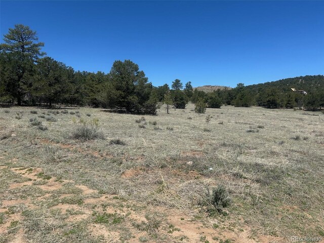 35th Trl, Cotopaxi, CO 81223