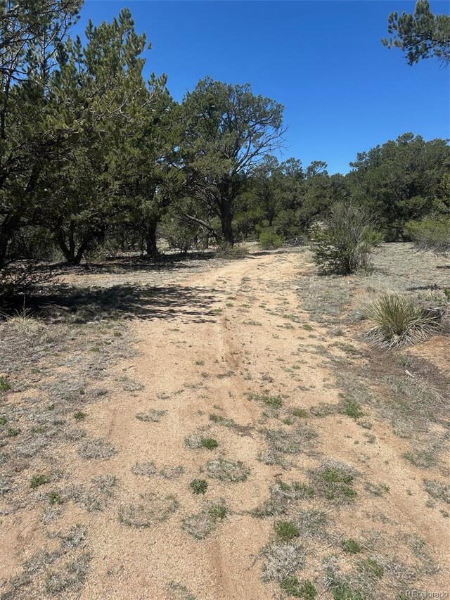 35th Trl, Cotopaxi, CO 81223