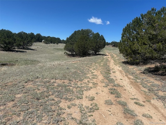 35th Trl, Cotopaxi, CO 81223