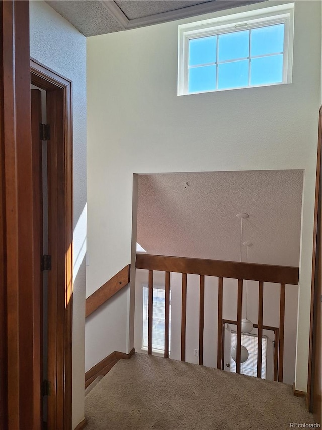 8336 W 87th Dr Unit D, Arvada, CO 80005 - photo 34