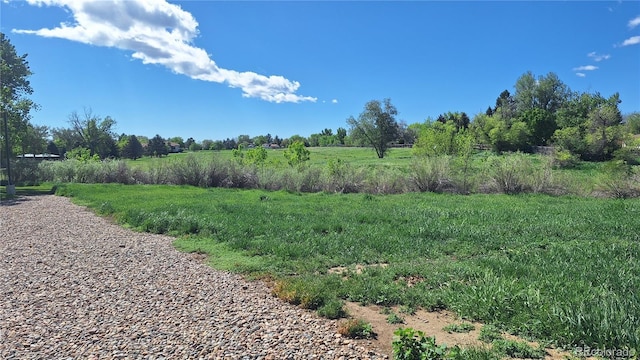 8336 W 87th Dr Unit D, Arvada, CO 80005 - photo 42