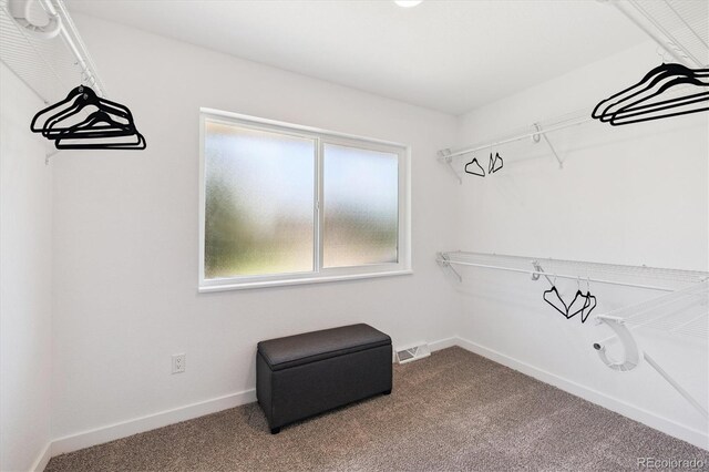 2931 S Sidney Ct, Denver, CO 80231 - photo 20