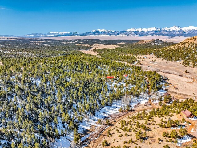 1702 County Road 327, Westcliffe, CO 81252