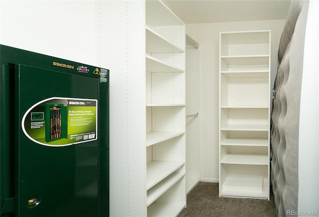 spacious closet featuring carpet