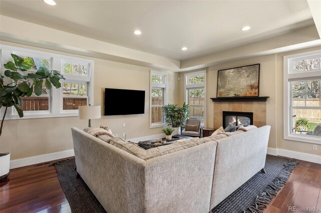 living area featuring baseboards, plenty of natural light, a fireplace, and dark wood-type flooring