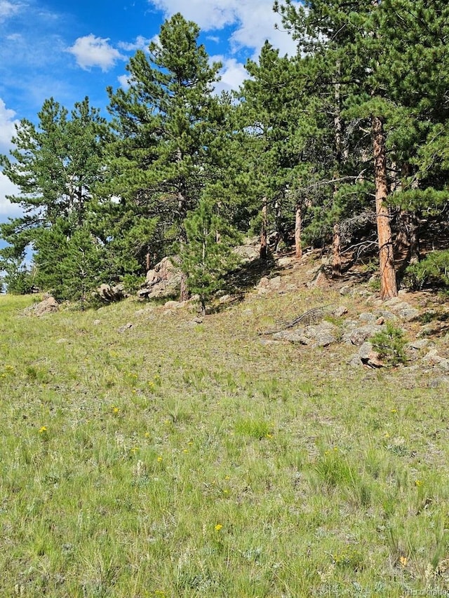 7275 Co-9, Guffey, CO 80820 - photo 23