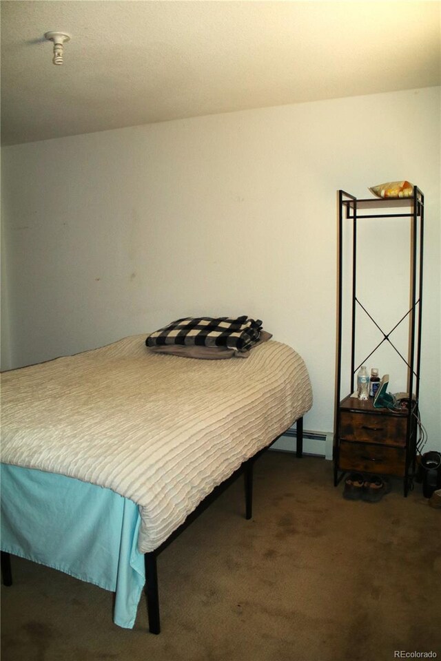 7275 Co-9, Guffey, CO 80820 - photo 33
