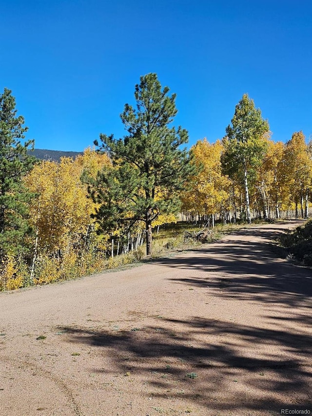 7275 Co-9, Guffey, CO 80820 - photo 3