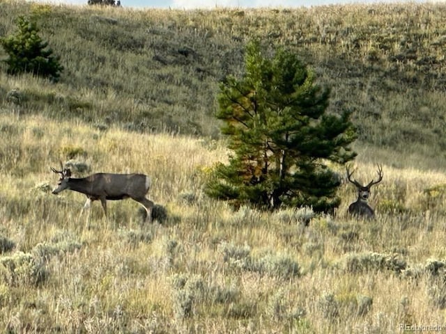 7275 Co-9, Guffey, CO 80820 - photo 7
