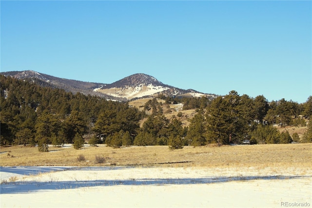 7275 Co-9, Guffey, CO 80820 - photo 10
