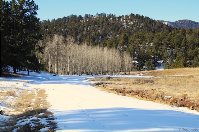 7275 Co-9, Guffey, CO 80820 - photo 9