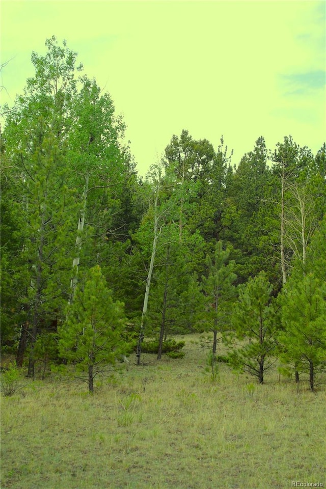 7275 Co-9, Guffey, CO 80820 - photo 11