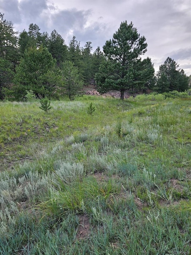 7275 Co-9, Guffey, CO 80820 - photo 17