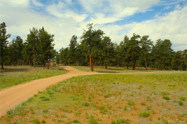 7275 Co-9, Guffey, CO 80820 - photo 21