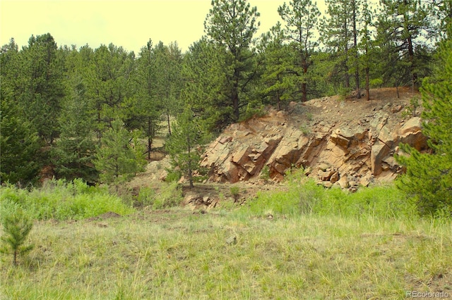7275 Co-9, Guffey, CO 80820 - photo 24