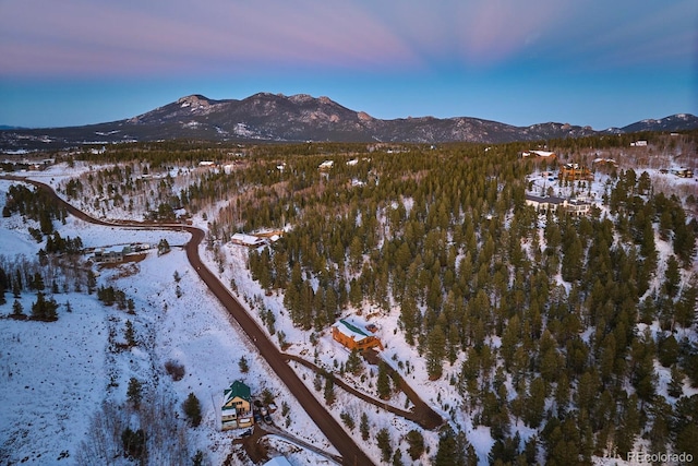 snowy aerial view featuring a mountain view