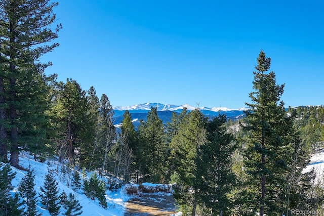 view of mountain feature with a wooded view