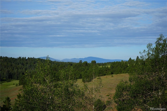 4195 Cedar Mountain Rd, Divide, CO 80814 - photo 2