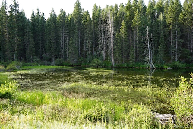 4195 Cedar Mountain Rd, Divide, CO 80814 - photo 6
