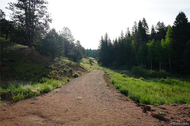 4195 Cedar Mountain Rd, Divide, CO 80814 - photo 9