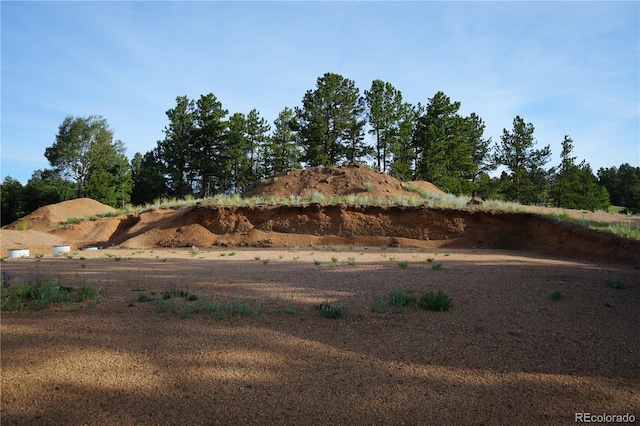 4195 Cedar Mountain Rd, Divide, CO 80814 - photo 11