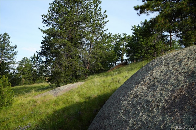 4195 Cedar Mountain Rd, Divide, CO 80814 - photo 28