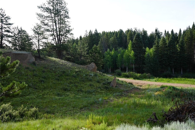 4195 Cedar Mountain Rd, Divide, CO 80814 - photo 30