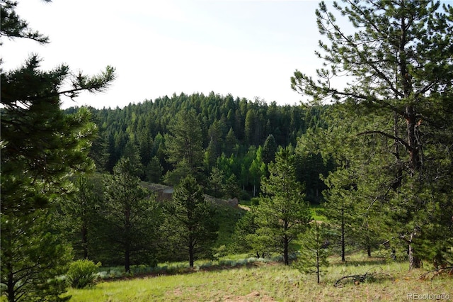 4195 Cedar Mountain Rd, Divide, CO 80814 - photo 31