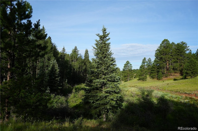 4195 Cedar Mountain Rd, Divide, CO 80814 - photo 33