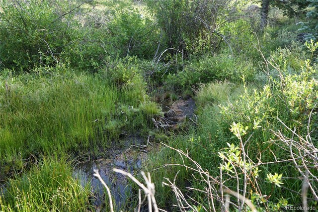 4195 Cedar Mountain Rd, Divide, CO 80814 - photo 35