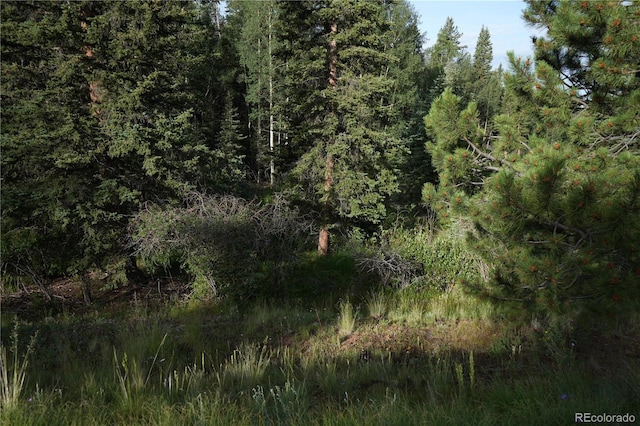 4195 Cedar Mountain Rd, Divide, CO 80814 - photo 40