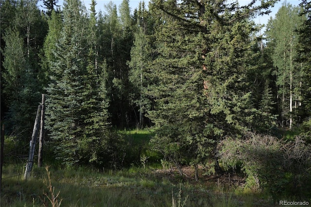 4195 Cedar Mountain Rd, Divide, CO 80814 - photo 41