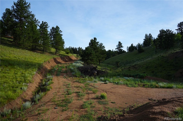 4195 Cedar Mountain Rd, Divide, CO 80814 - photo 43