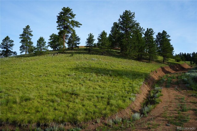 4195 Cedar Mountain Rd, Divide, CO 80814 - photo 44