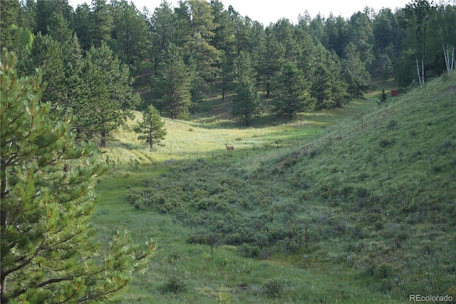 4195 Cedar Mountain Rd, Divide, CO 80814 - photo 3