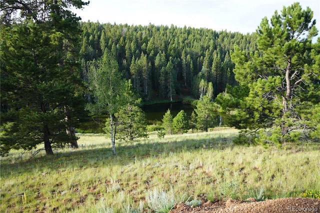 4195 Cedar Mountain Rd, Divide, CO 80814 - photo 5