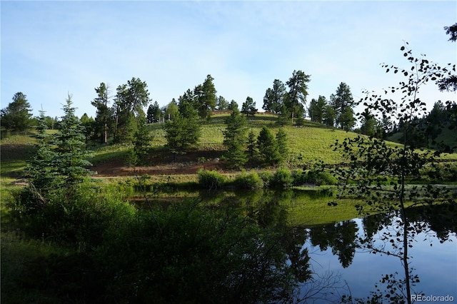 4195 Cedar Mountain Rd, Divide, CO 80814 - photo 7