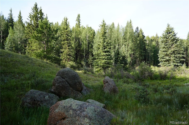 4195 Cedar Mountain Rd, Divide, CO 80814 - photo 8