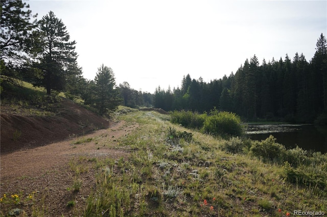 4195 Cedar Mountain Rd, Divide, CO 80814 - photo 10