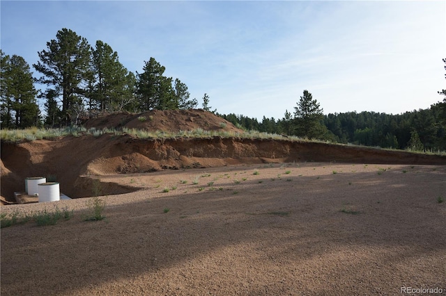 4195 Cedar Mountain Rd, Divide, CO 80814 - photo 12
